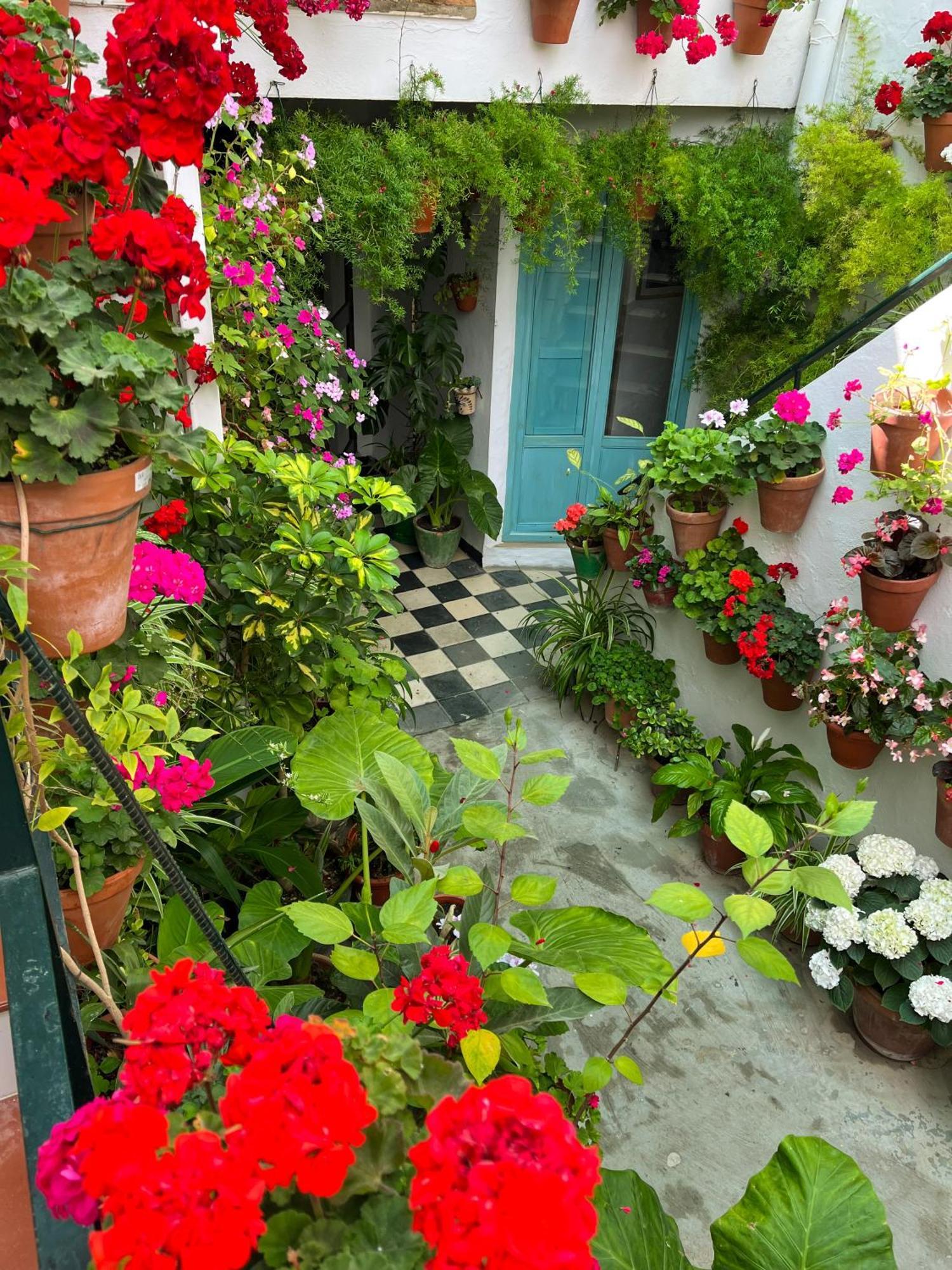 Apartamento La Muralla Vejer de la Frontera Exteriér fotografie